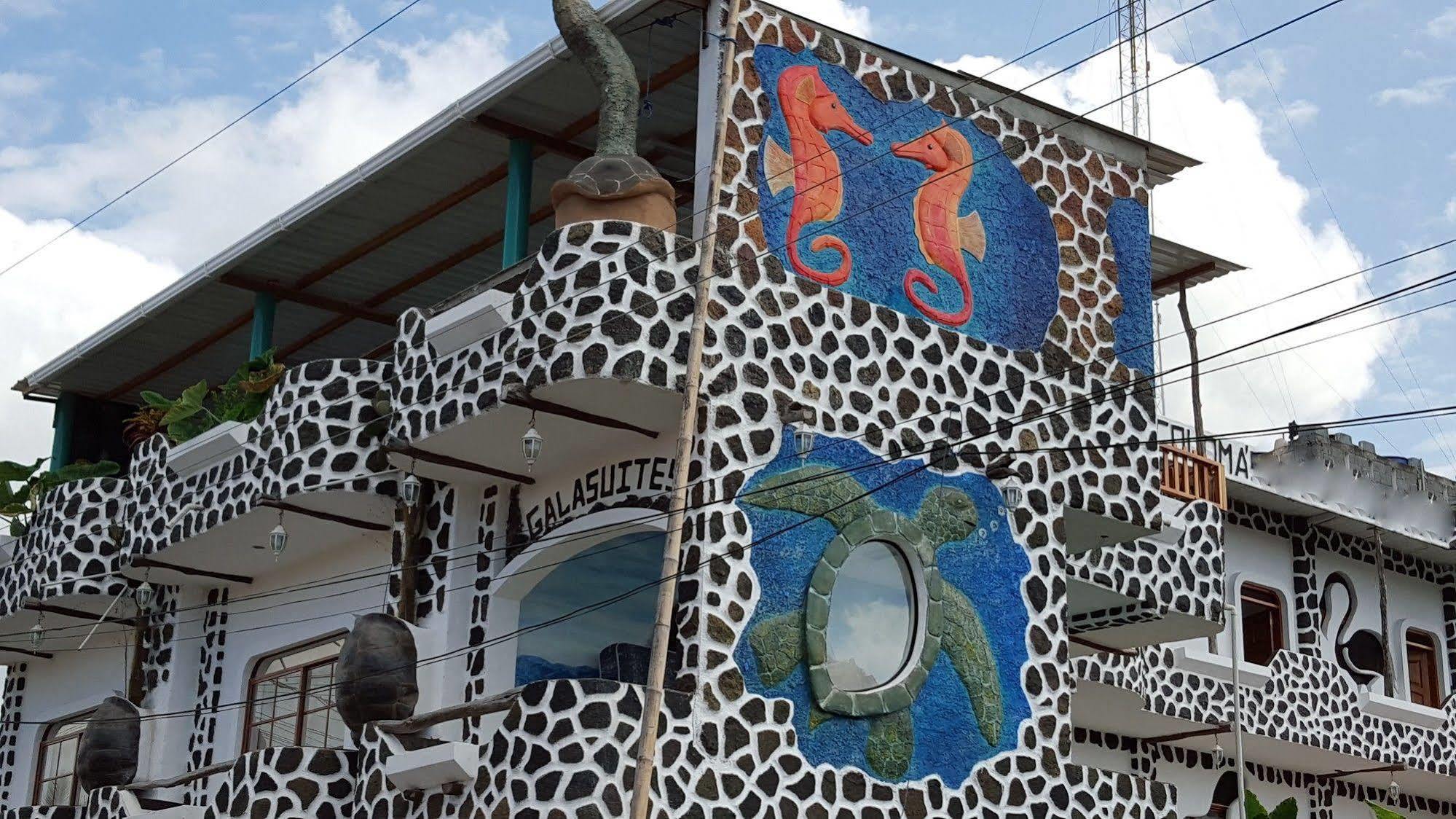 Hotel Coloma Galapagos Puerto Ayora  Exterior photo